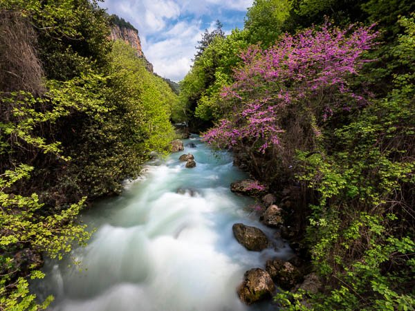 nahr-ibrahim-lebanon-spring-bloom.jpg