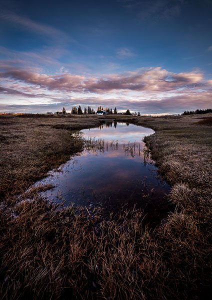 thingvellir_lake_iceland.jpg