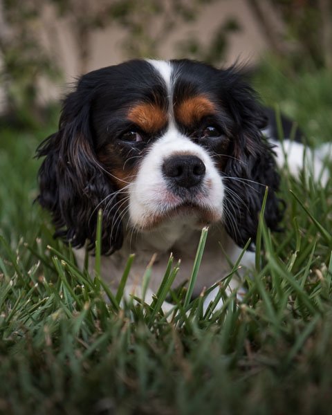 DSC_7054.jpg