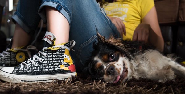spike-dog-portrait-indoor.jpg