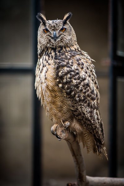 DSC_8847.jpg